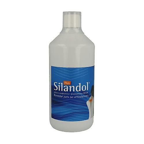 MCA Productos Naturales Silandol Plus 1 L on Productcaster.