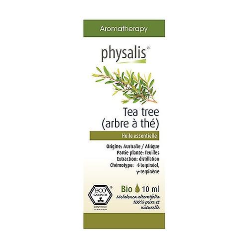 Physalis Tetræ 10 ml on Productcaster.