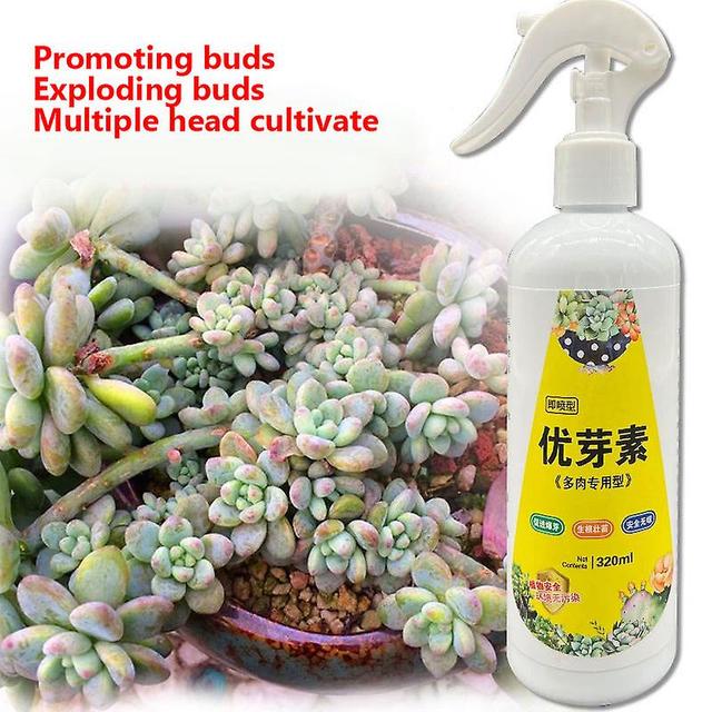 Belita Amy Succulent Plant Eugenin Promotes Budding, Dwarf Fat, Prevents Leggy Organic Granules 320ml on Productcaster.