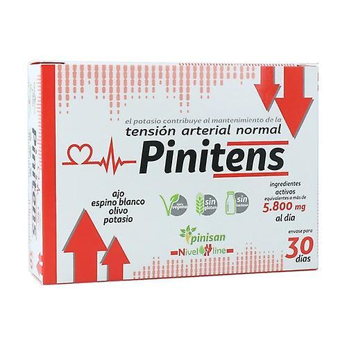 Pinisan Pinitens 60 capsules on Productcaster.