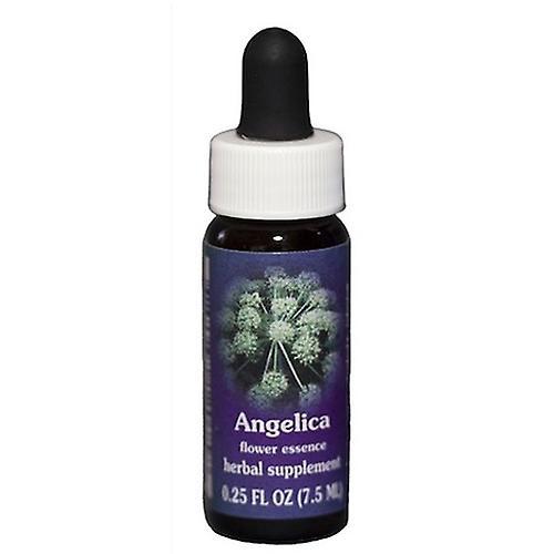 Flower Essence Services Angelica Dropper, 0.25 oz (Pack of 1) on Productcaster.