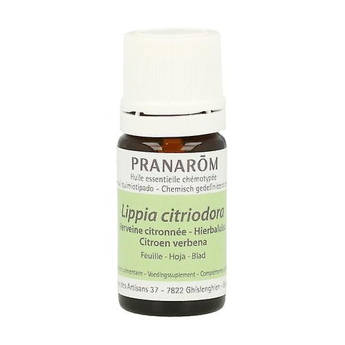 Pranarôm Lemon Verbena Essential Oil 5 ml of essential oil on Productcaster.