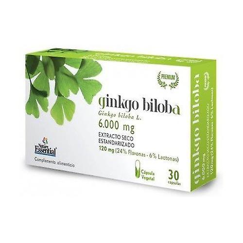 Nature Essential Ginkgo Biloba 6000 mg 30 kapselia on Productcaster.