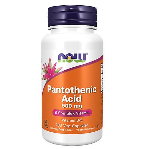 Now Foods Acide pantothénique,500 mg,100 Caps (Paquet de 2) on Productcaster.