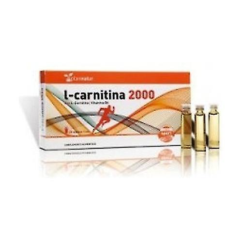 Plannatur L-Carnitine 20 ampoules on Productcaster.