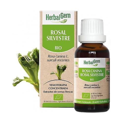 Herbalgem Wild rose rosehip Bio 15 ml on Productcaster.