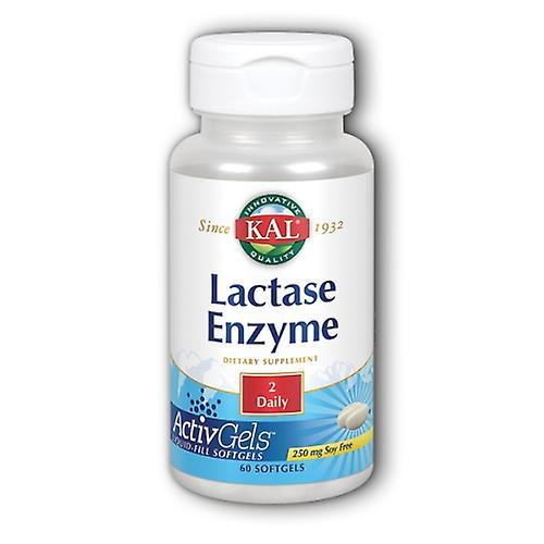 Kal Lactase Enzyme,250 mg,60 Softgels (Pack of 3) on Productcaster.