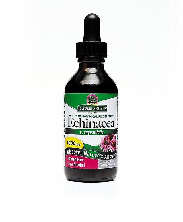 Nature's Answer Príroda ' s odpoveď Echinacea koreň nízky alkohol 60ml 1407 on Productcaster.