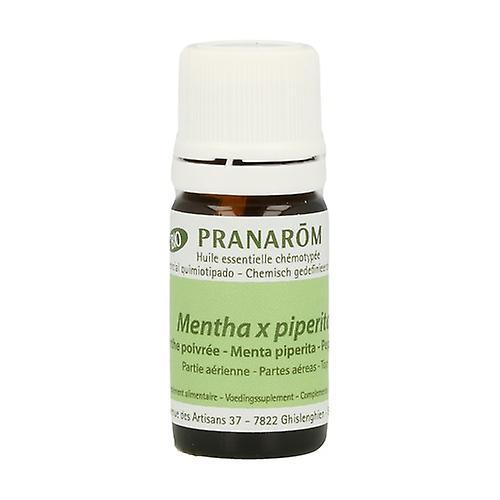 Pranarôm Peppermint essential oil 5 ml of essential oil (Mint) on Productcaster.