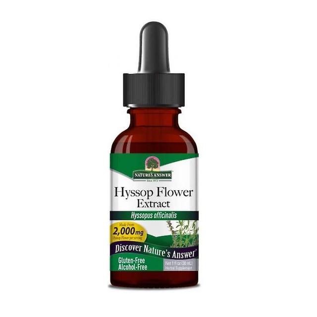 Nature's Answer Nature's antwoord Hyssop kruid 30ml 1368 on Productcaster.