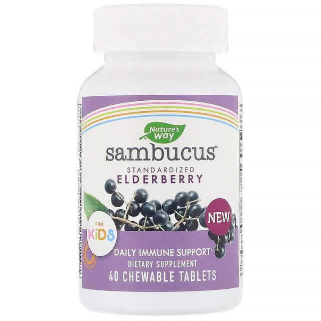 Nature's Way, Sambucus para crianças, Sabugueiro Padronizado, 40 Comprimidos Mastigáveis on Productcaster.