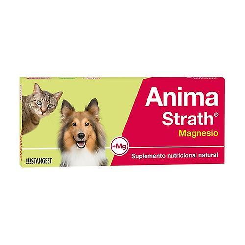 Stangest Anima strath magnesium 40 tablets on Productcaster.