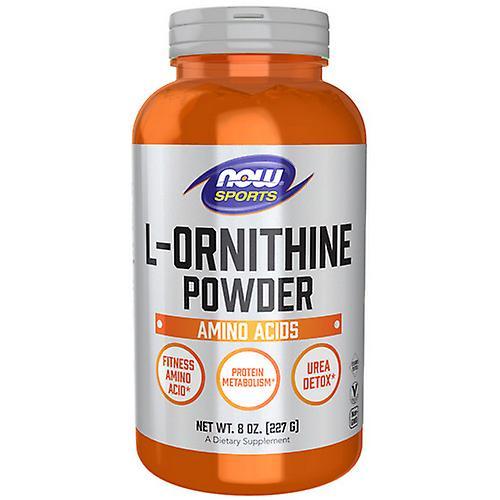 Now Foods L- Ornithine Poeder, 8 Oz (Verpakking van 4) on Productcaster.