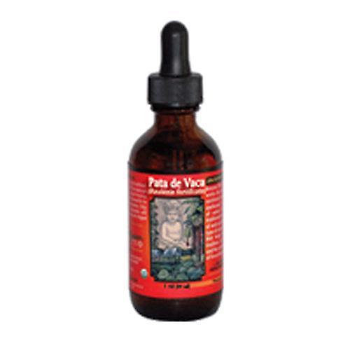 Amazon Therapeutics Amazon Therapeutic Laboratories Pata De Vaca, Vloeibaar Extract 1 Fl Oz (Pack van 1) on Productcaster.