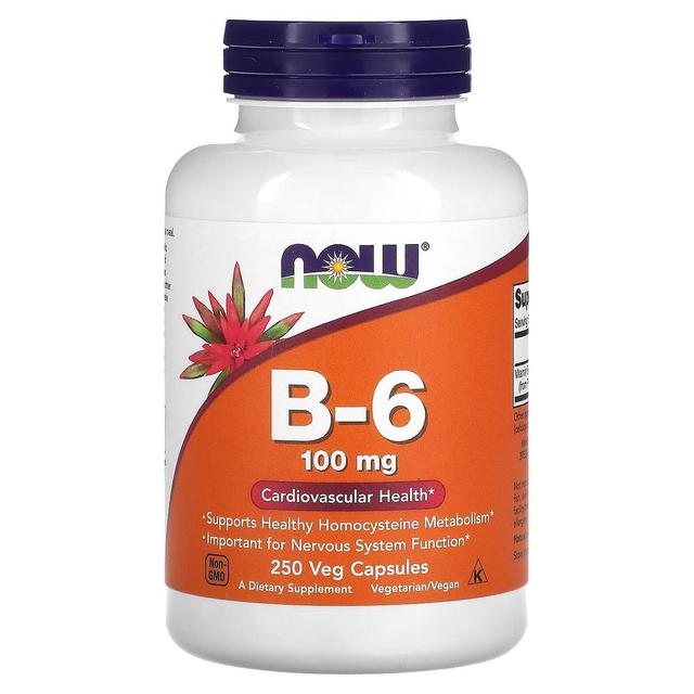 NOW Foods, B-6, 100 mg, 250 Veg Capsules on Productcaster.