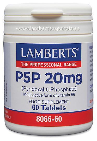 Lamberts Pyridoxal 5 fosfát 60 Kapsuly on Productcaster.