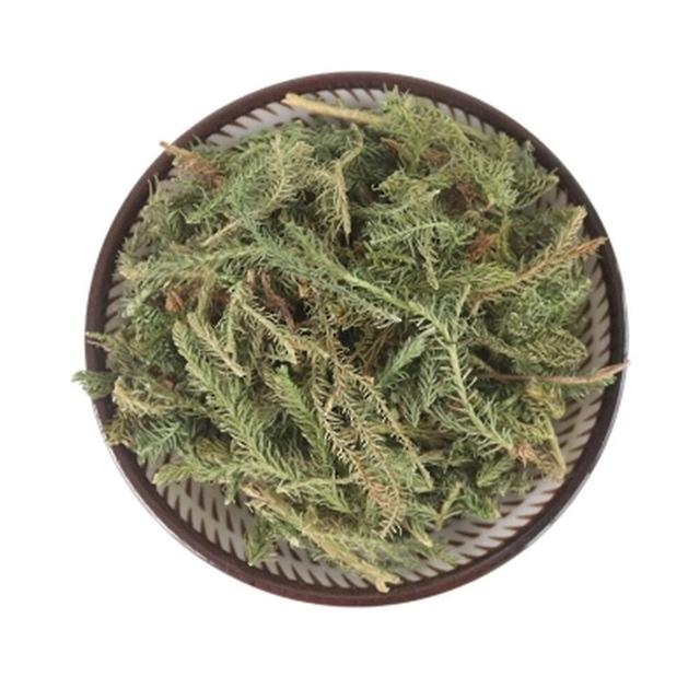 250g 100% Natural Shen Jin Cao Japanese Clubmoss Medicinal Chinese Herbs on Productcaster.