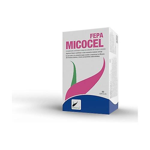 Fepa-mycocel 60 capsules on Productcaster.