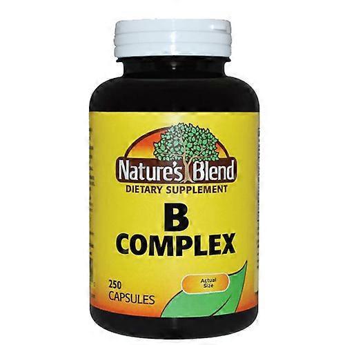 Nature's Blend Vitamin B Complex, 250 Caps (Pack of 1) on Productcaster.