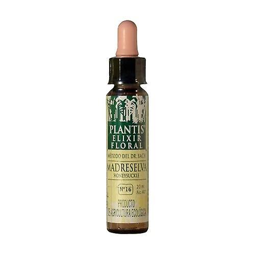 Plantis Honeysuckle No. 16 Eco 10 ml of floral elixir on Productcaster.