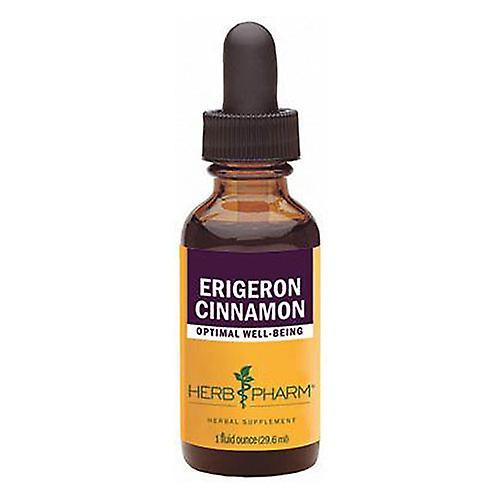 Herb Pharm Erigeron Cinnamon Compound, 1 Oz (Pack of 1) on Productcaster.