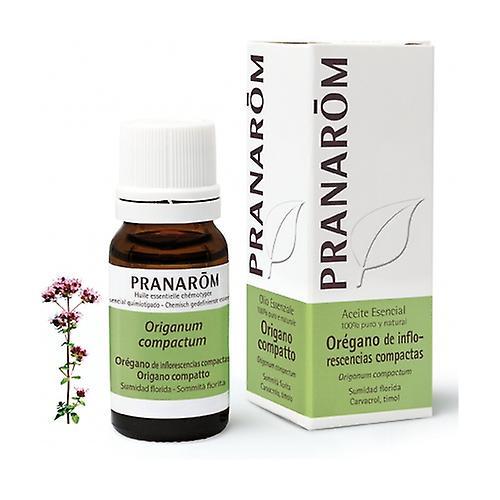 Pranarôm Oregano Compact Inflorescences Essential Oil 10 ml of essential oil on Productcaster.