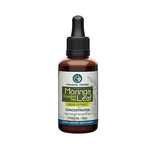 Amazing Herbs Black Seed Moringa Leaf Liquid Extract, 1 oz (Paquete de 1) on Productcaster.