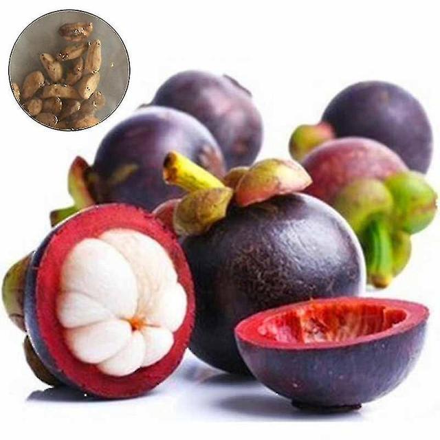 Brand Sajy New 10pcs Mangosteen Seedsnutrient-rich Queen Of Tropical Fruits Seed Hot on Productcaster.