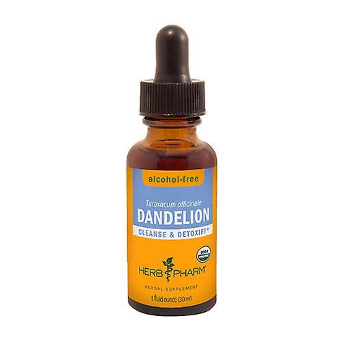 Herb Pharm Dandelion Glycerite, 1 Oz (Pack of 4) on Productcaster.