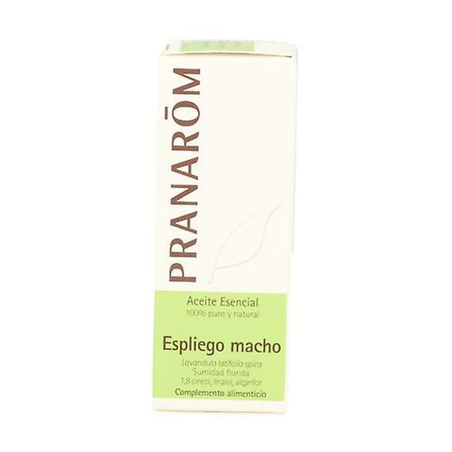 Pranarôm Lavender Male Essential Oil 10 ml of essential oil on Productcaster.