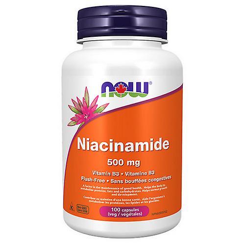 Now! Now Niacinamide,500 Mg ,100 VegCaps (Pack of 1) on Productcaster.