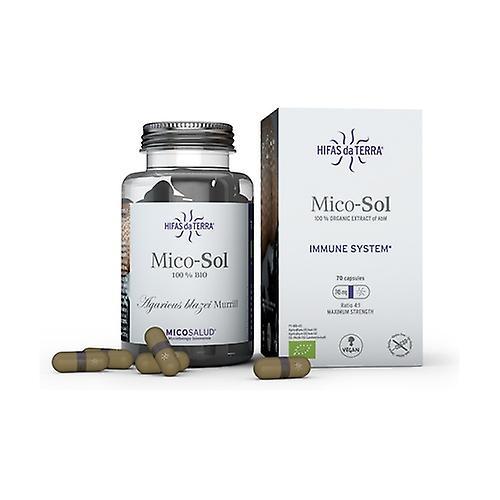 Hifas Da Terra Mico-Sol Royal Sun Mushroom 70 capsules on Productcaster.