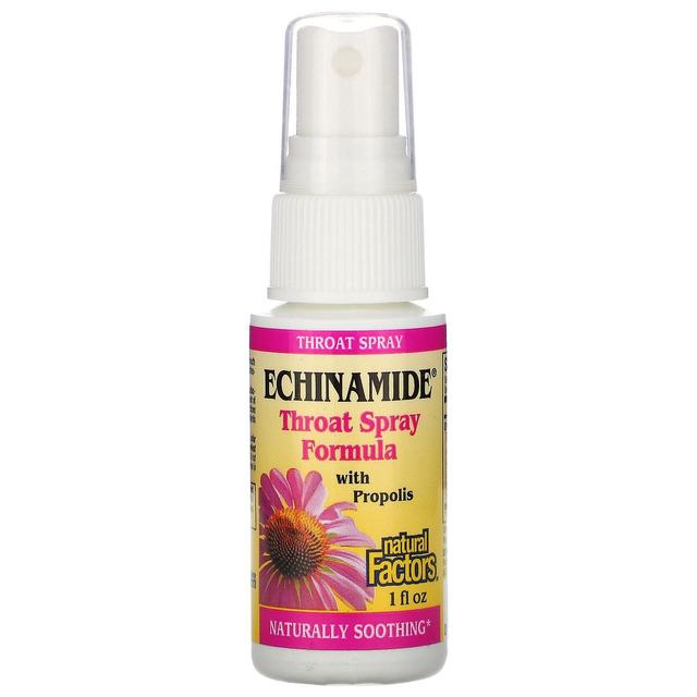 Natural Factors, Echinamide, Throat Spray Formula with Propolis, 1 fl oz on Productcaster.