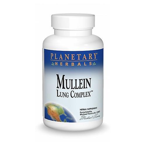 Planetary Herbals Mullein Lung Complex, 180 Tabs (Pack of 6) on Productcaster.