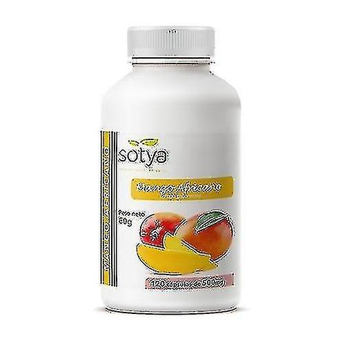 celebrate success Afrikaanse Mango 120 Capsules Van 500mg on Productcaster.