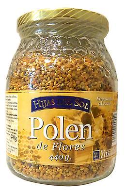 Hijas del Sol Pollen grain Jar 440 gr on Productcaster.