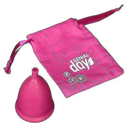 Genial Day Menstrual Cup, Large 1 Count (pack Of 1) on Productcaster.