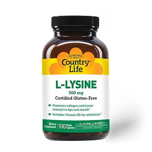 Country Life L-Lysine with B-6,500 MG,100 Caps (Pack of 1) on Productcaster.