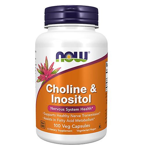 Now Foods Choline & Inositol,500 mg,100 Caps (Paquet de 4) on Productcaster.