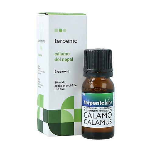 Terpenic Essential Oil Cálamo 10 ml of essential oil on Productcaster.