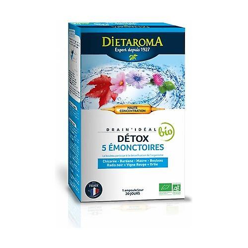 Dietaroma Drain'ideal BIO 20 ampoules (Grape) on Productcaster.