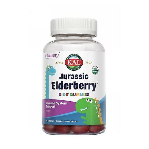 Kal Jurassic Elderberry, 60 Count (Pack of 1) on Productcaster.