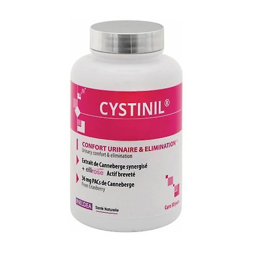 Ineldea Santé Naturell Cystinil Comfort Urinal 90 capsules on Productcaster.