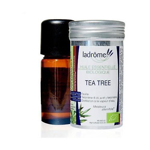 Ladrome Tea tree 10 ml of essential oil (Tea tree) on Productcaster.