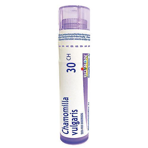 Attitude All Purpose Cleaner Desinfectante 99.9%, 800 ml on Productcaster.