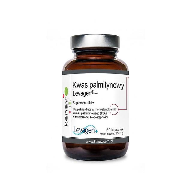 Kenay palmitic acid Levagen 350 mg 60 capsules BI6889 on Productcaster.