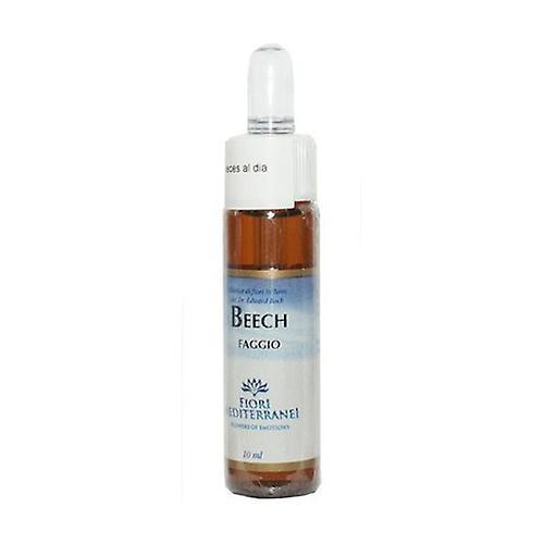 Forza Vitale FM Beech (Beech 10 ml of floral elixir on Productcaster.