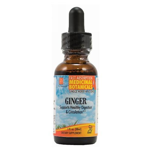 LA Naturals L. A . Naturals Ginger, 1 Oz (Confezione da 1) on Productcaster.