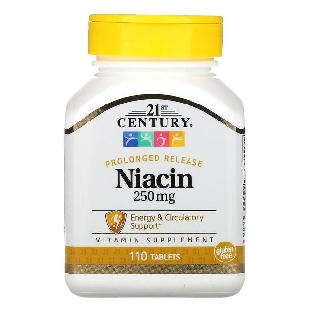 21st Century, Niacin, Prolonged Release, 250 mg, 110 Tablets on Productcaster.