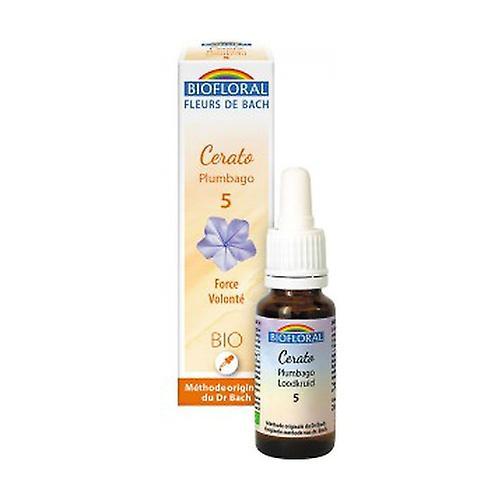 Biofloral Plumbago Organic 20 ml of floral elixir on Productcaster.